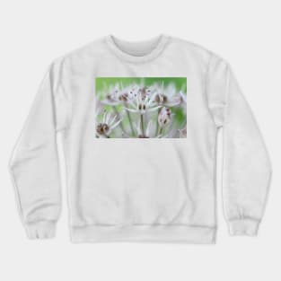 Allium karataviense   AGM  Kara Tau garlic Crewneck Sweatshirt